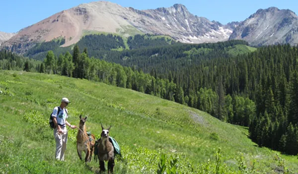 Near Lizard Pass
